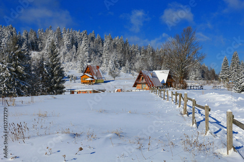A snowy winter scene photo