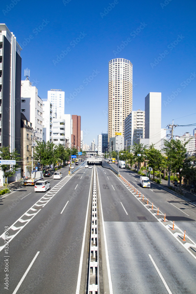 Fototapeta premium 山手通り(中目黒駅方面)