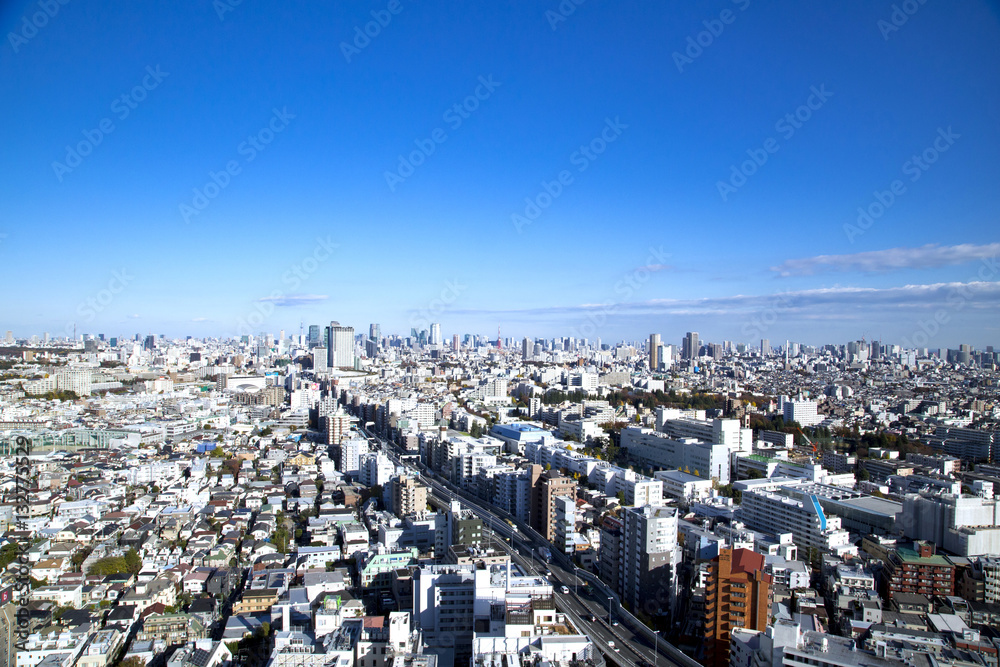 Fototapeta premium 東京の都市風景