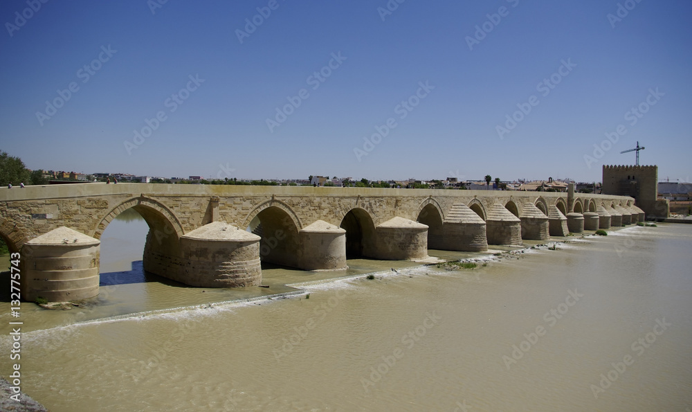 Fototapeta premium El Puente Remano over the Guadalquivir river in Cordova