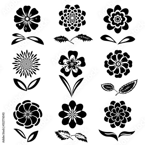 Dahlia, aster, daisy, chamomile, gowan, anemone, orchid flower set. Spring and summer flowers. Floral black symbols with leaves. May be used in cuisine. Vector isolated.  photo