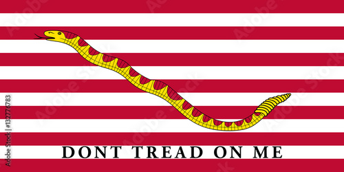 First Navy Jack flag of the United States of America