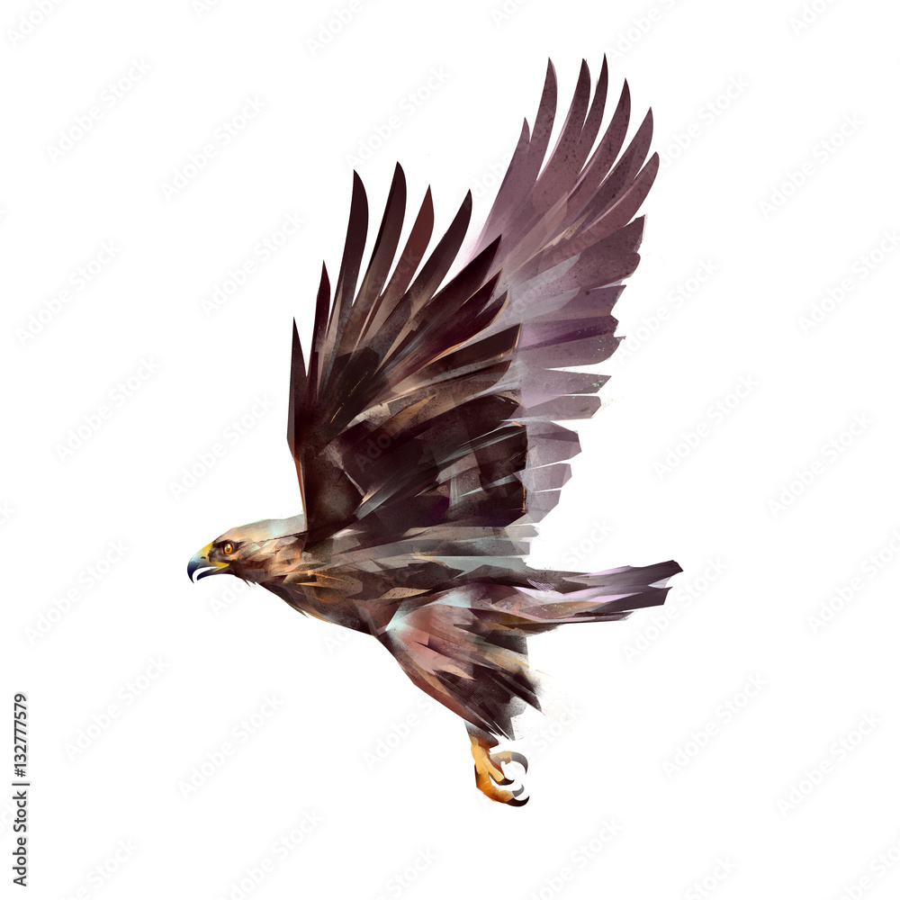 Fototapeta premium painted flying eagle isolated on white background