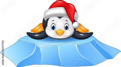 Cute baby penguin on ice floe

