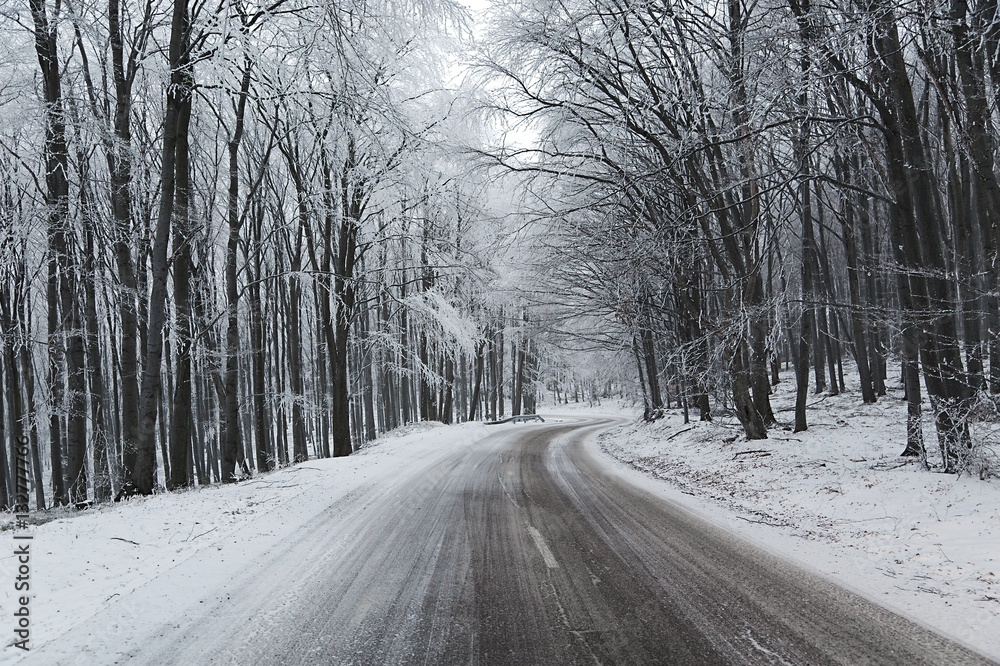 Winter Road Turns