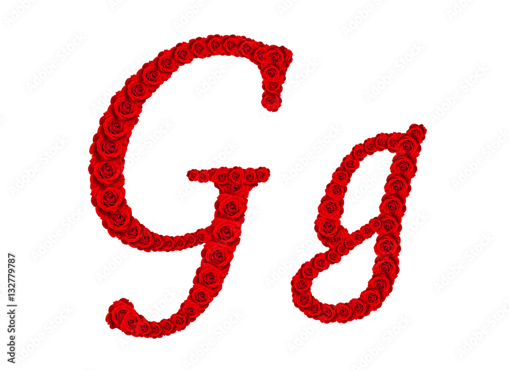 Rose alphabet - Alphabet letter G and g made from red rose bloss Rose alphabet - Alphabet letter G and g made from red rose bloss