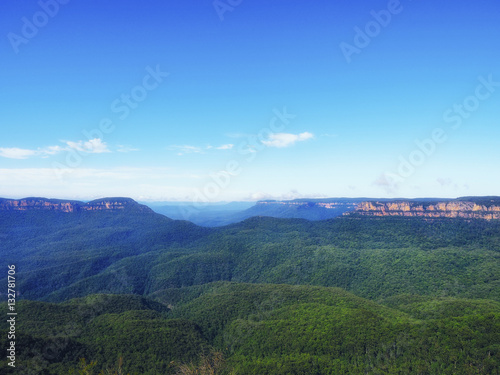 Amazing nature of blue mountains with trees and cliff in the morning sunshine, Australia