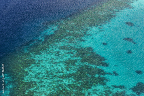 Coral Reef and detail of Atoll  at Indian ocean