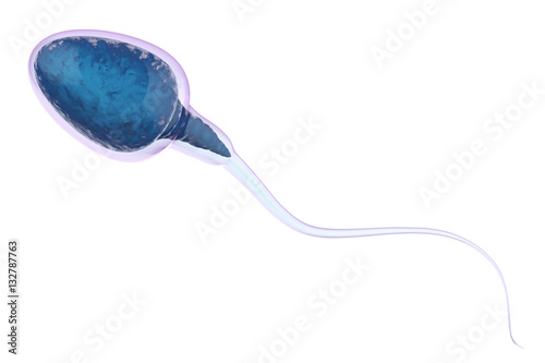 blue sperm isolated on white photo