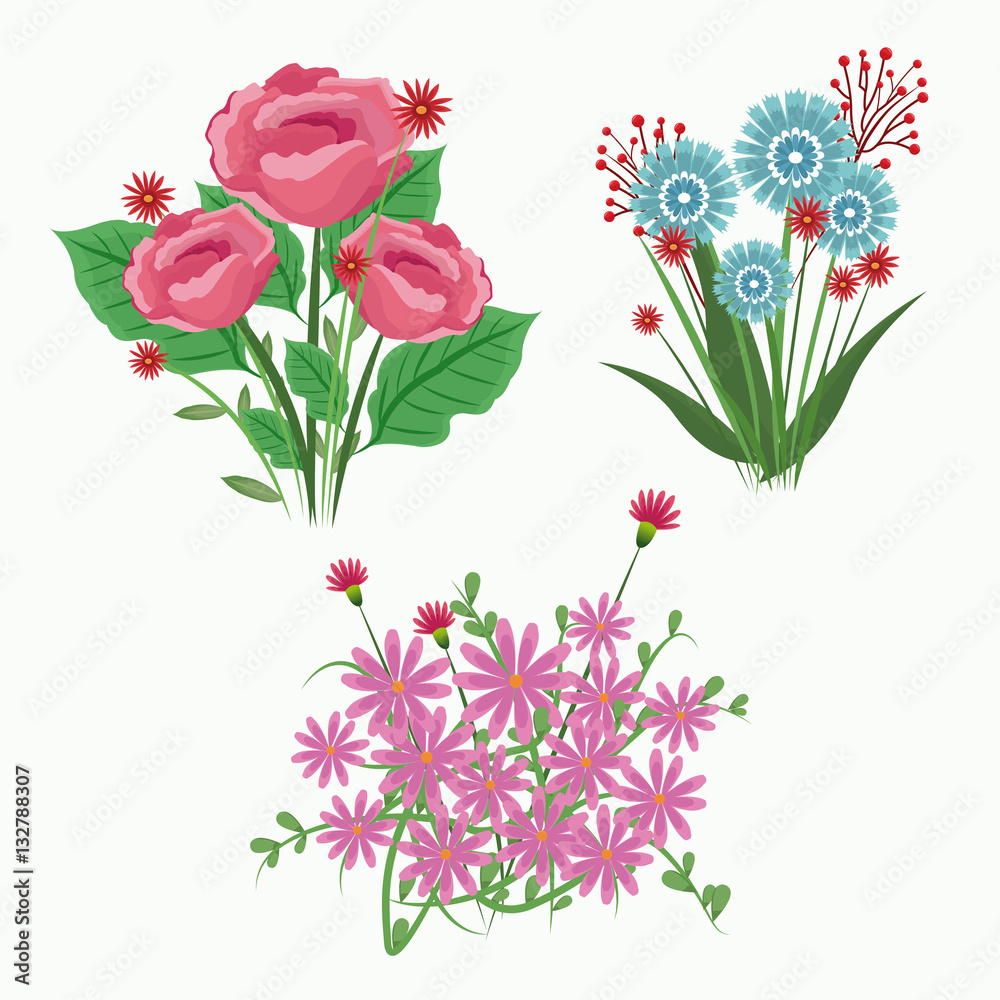set flowers bloom adorment design vector illustration eps 10
