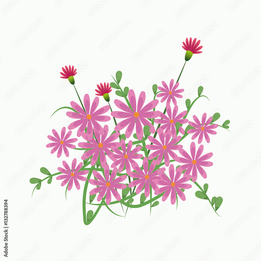 pink flower botanical flora vector illustration eps 10