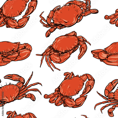 crab pattern including seamless on white background. Hand drawn