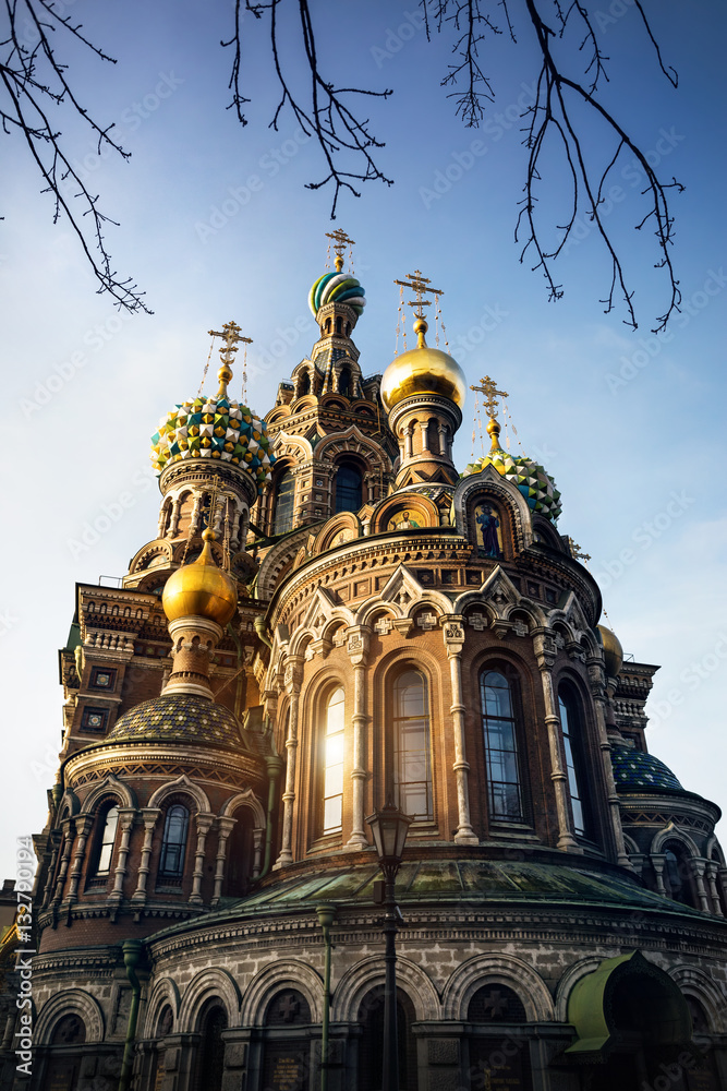 Church Savior on Spilled Blood in Petersburg