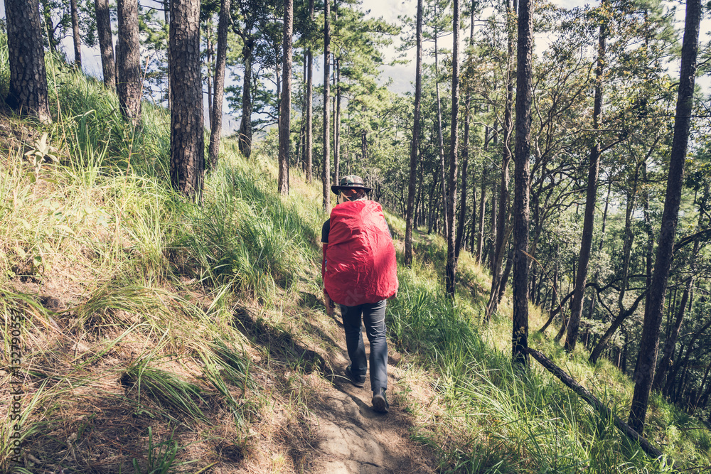 Obraz premium Hiker young man with backpack trekking in the mountain