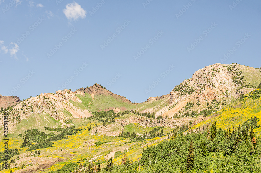 Summer in the Wasatch Mountains