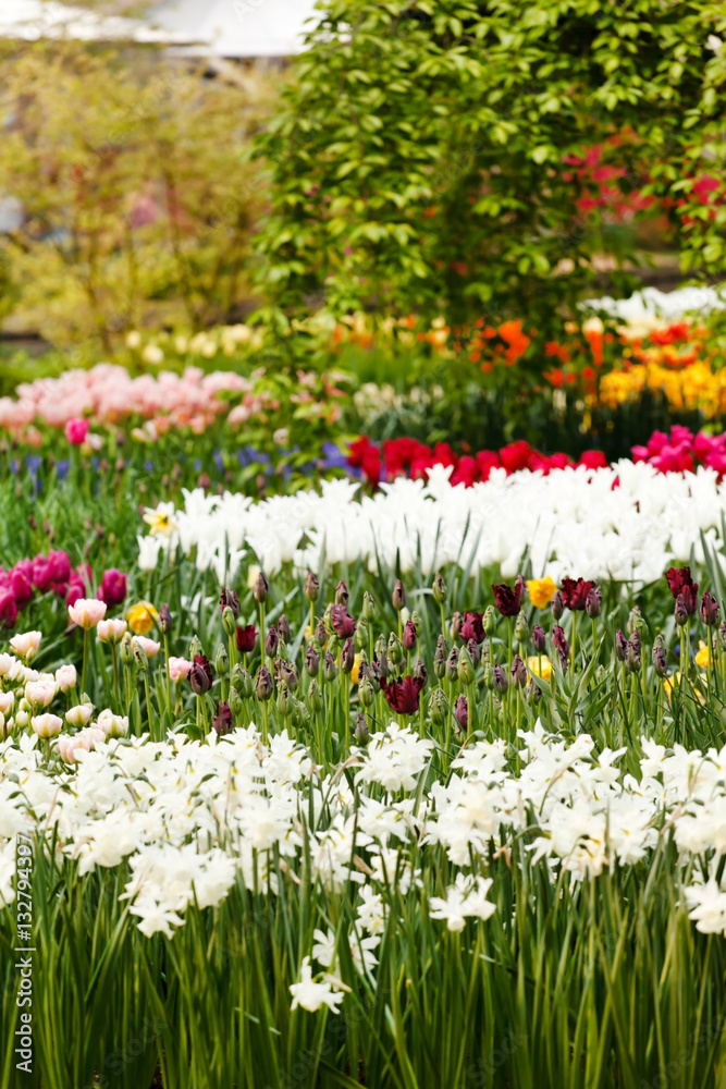 sping garden sping garden