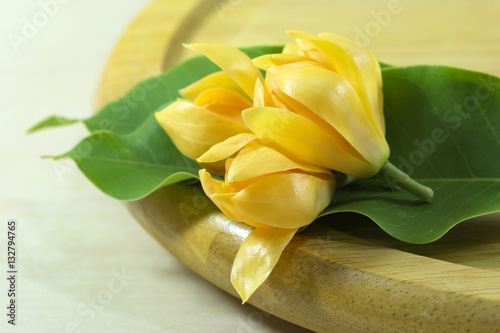 Fragrant yellow flowers refreshing.