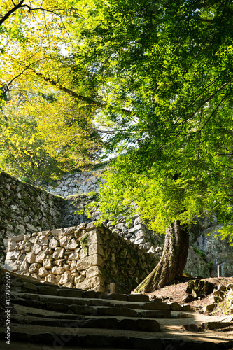 Bitchu Matsuyama Castle Walls in Okayama photo