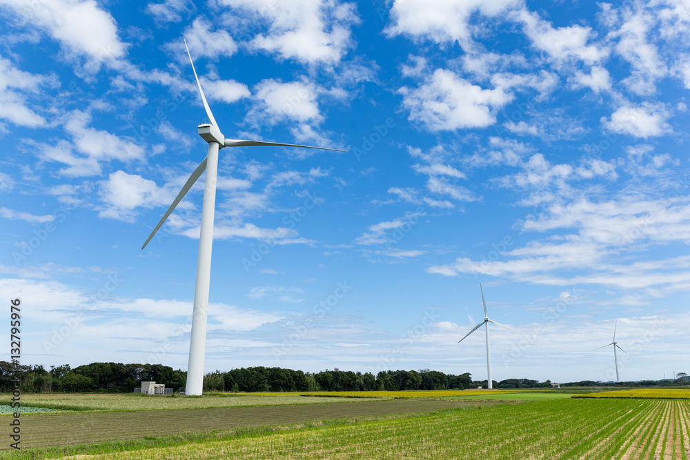 Wind turbine and field with blue sky