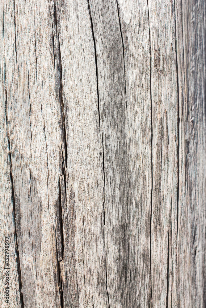 Wood texture background. Wood texture background.