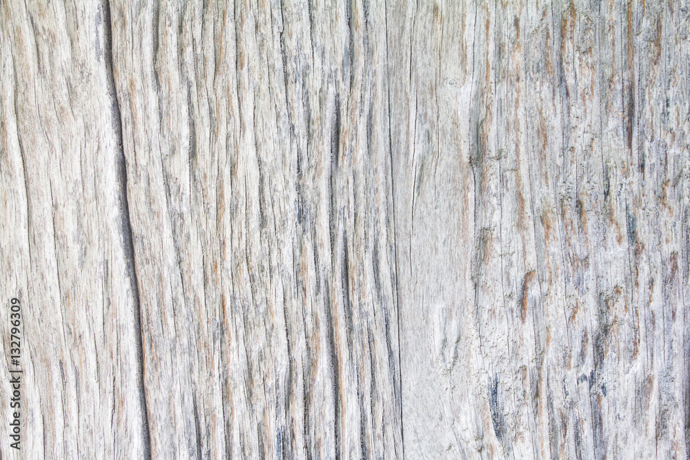 Wood texture background.