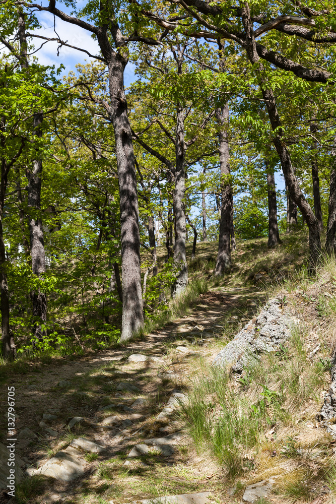 Fototapeta premium Fernwanderweg Selketal-Stieg Harz