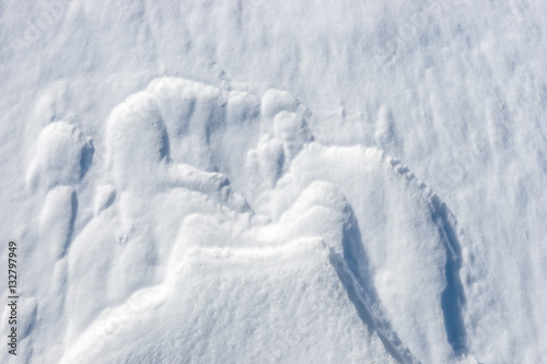 Close up of windy snow surface texture, winter background