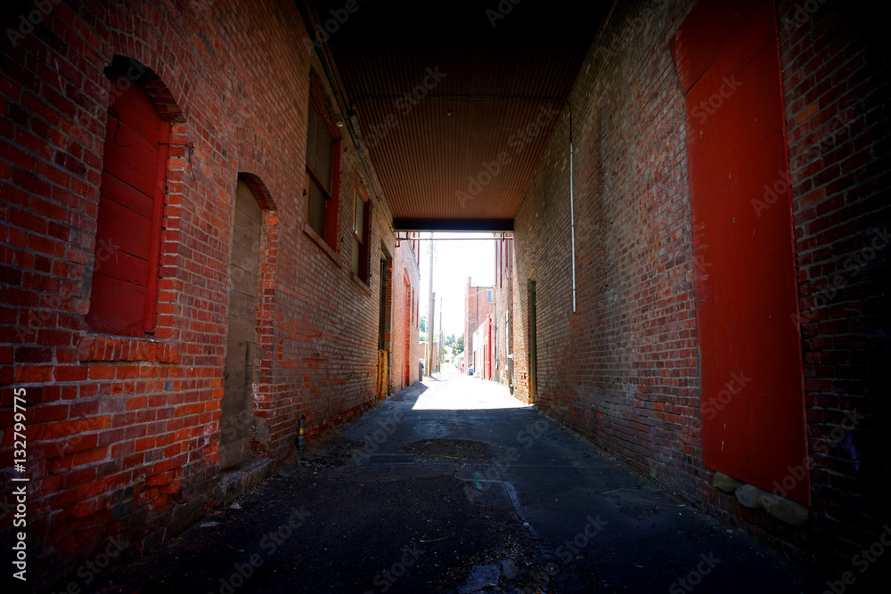alley between brick building