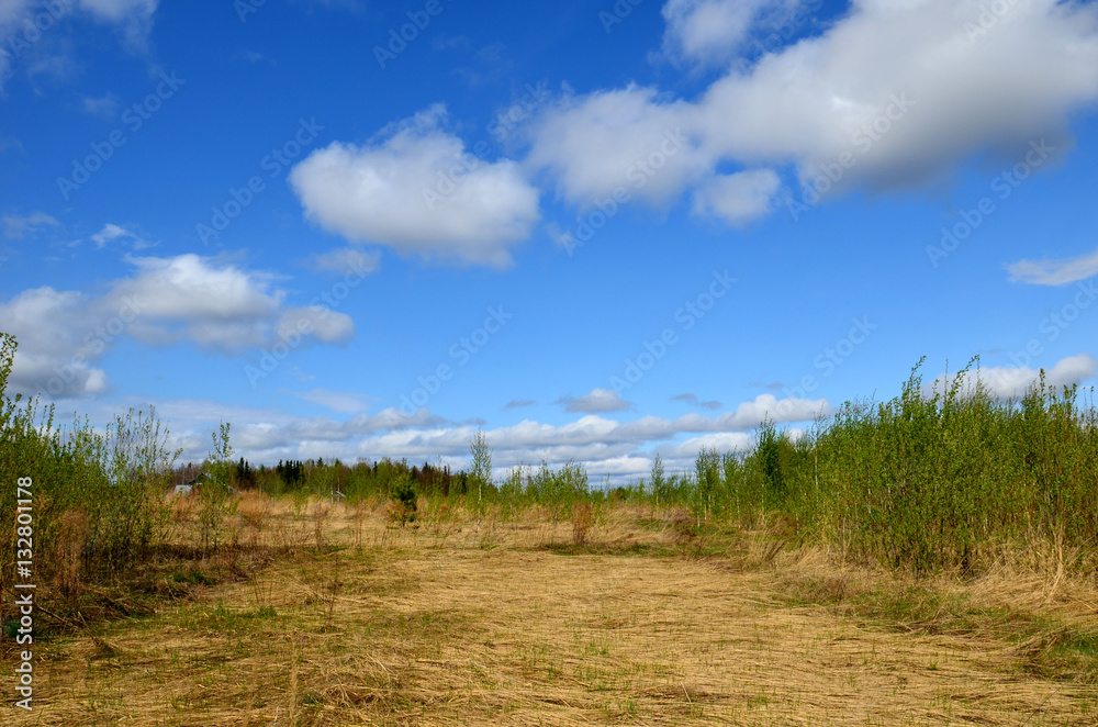 Fototapeta premium Fields near the garden in Russia