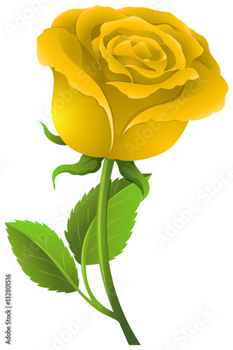 Yellow rose on green stem