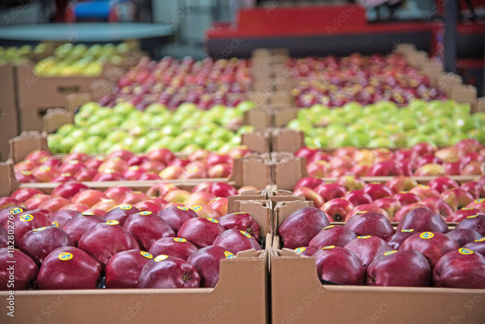 Apples in boxes in a factory
