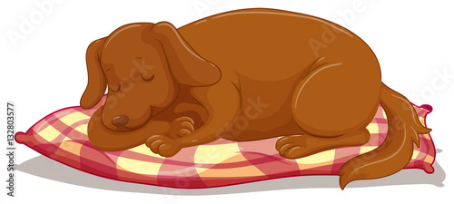 Cute puppy sleeping on mattress