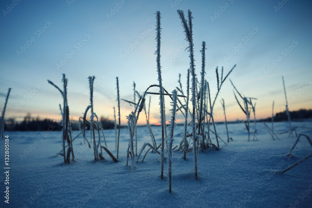 Nature winter landscape on a clear sunny day Nature winter landscape on a clear sunny day