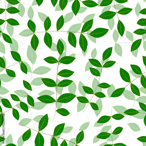 Spring natural fresh green leaves on white Background. Vector Illustration, seamless pattern with clipping mask, EPS10