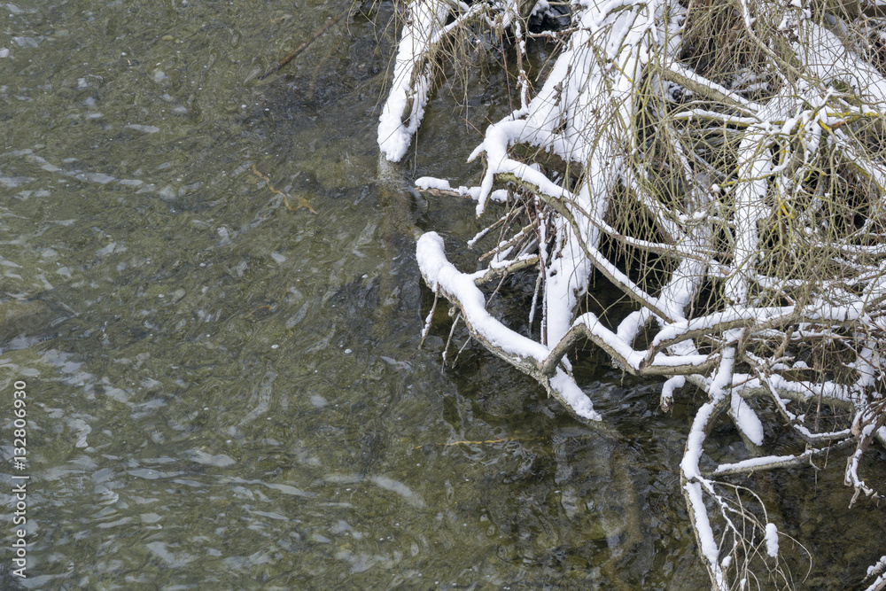 Schneebedeckte Äste und Bäume vor Flusslauf 
