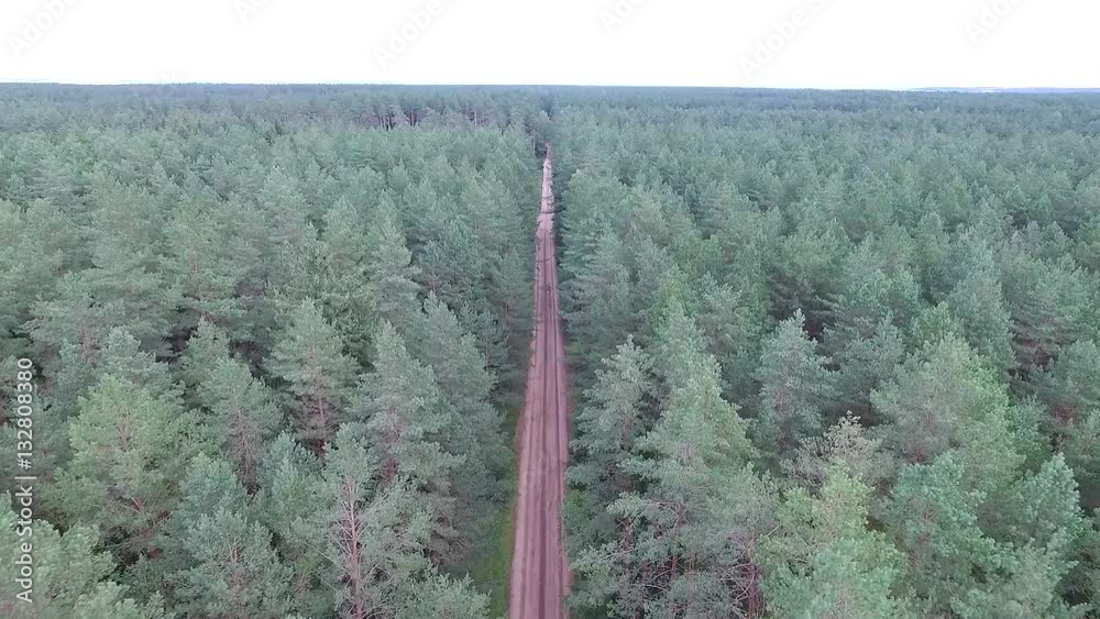 Flight Over The Forest Near Gravel Road 2