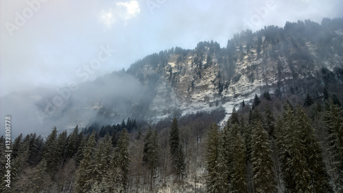 Snowy winter trees and cliffs of the french alps © neil