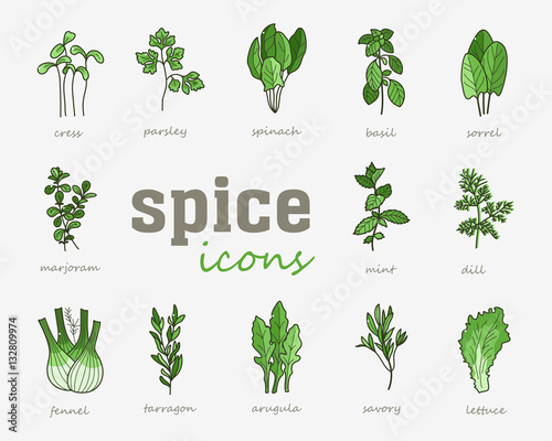 Greenery vector icon set. Vegetable green leaves