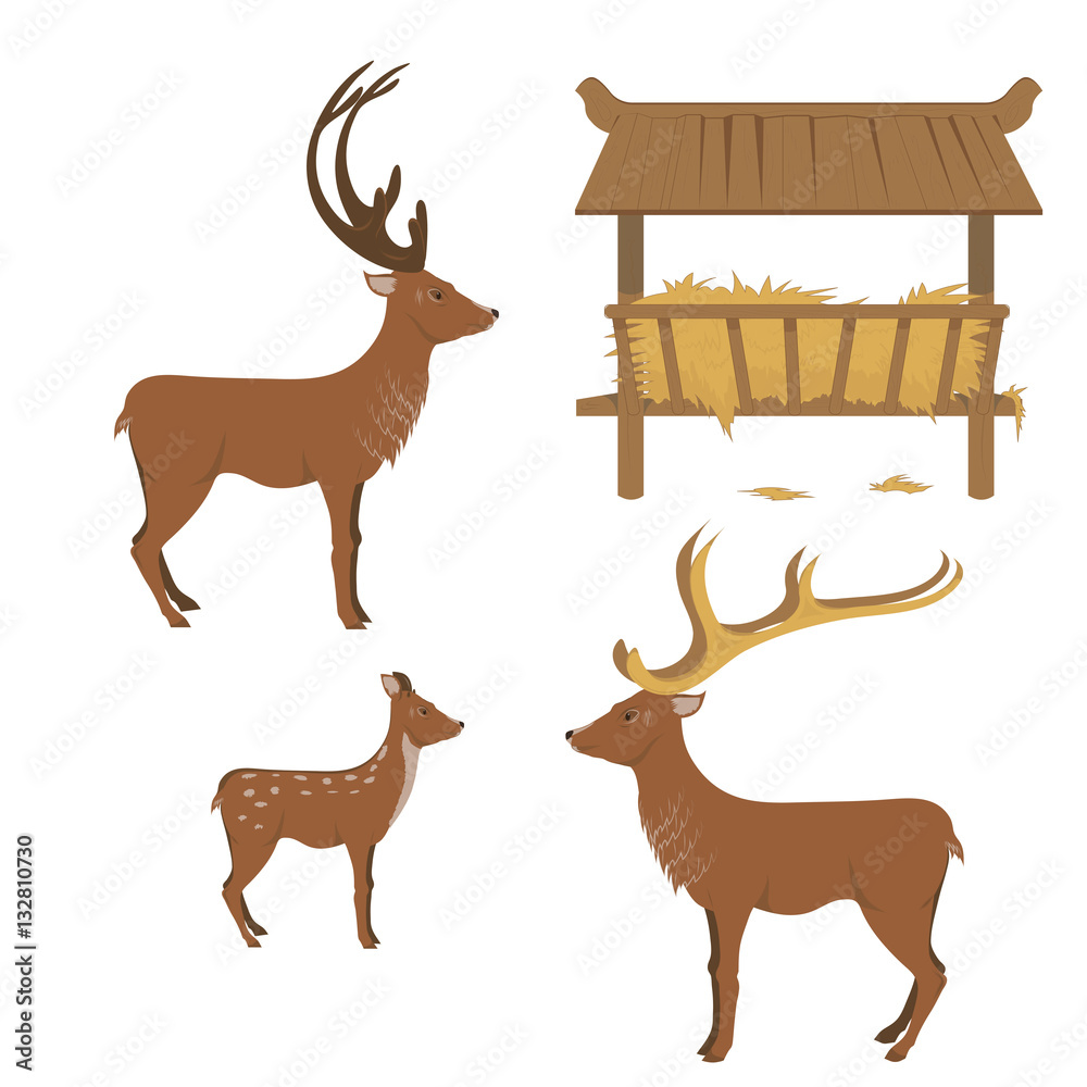 set deer feeder
