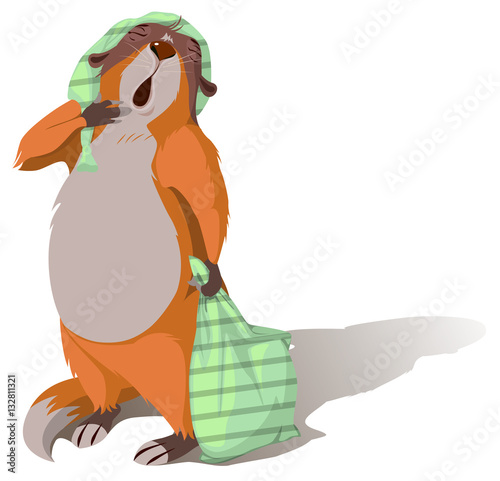 Groundhog Day. Sleeping marmot yawning and holding pillow
