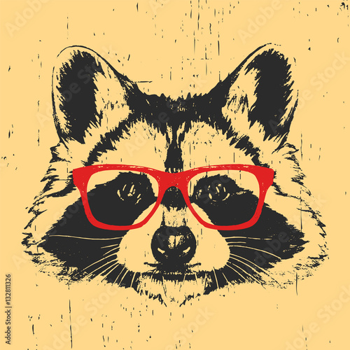 Portrait of Raccoon with glasses. Hand drawn illustration. Vector.
