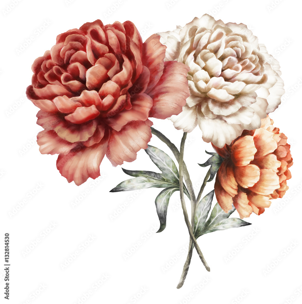 red peonies. watercolor flowers. floral illustration in Pastel colors. bouquet of flowers isolated on white background. Leaf. Romantic composition for wedding or greeting card.