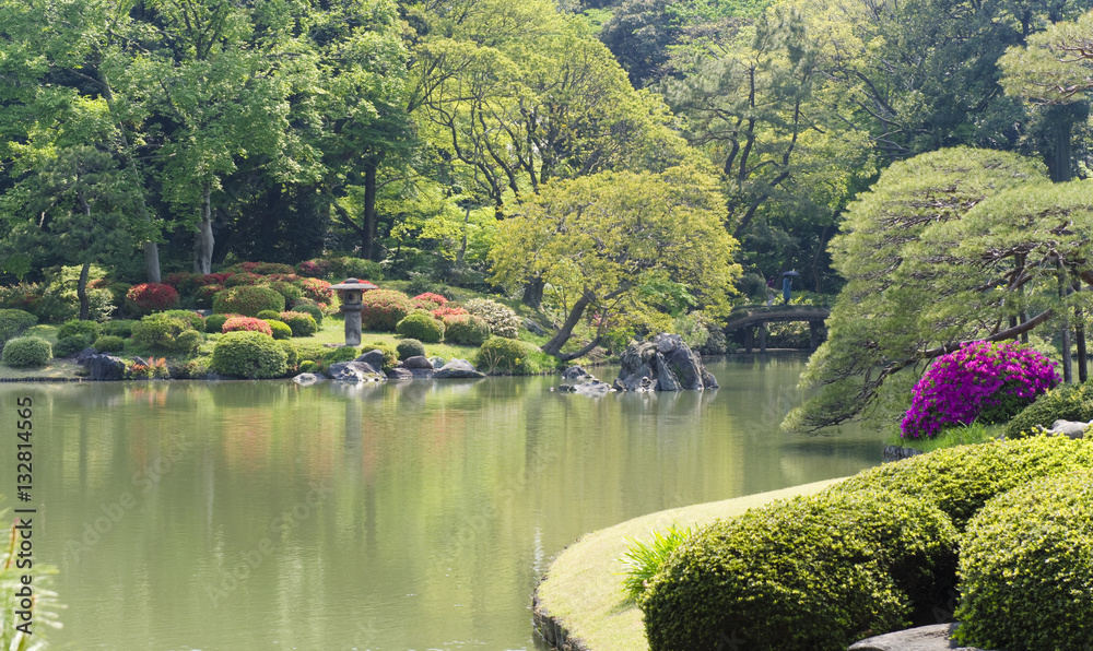 Obraz premium Japanischer Garten, (Tokio, Rikugi-en Garden)