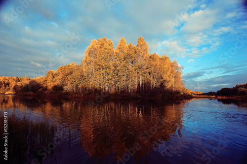 Fall forest landscape river amazing autumn background