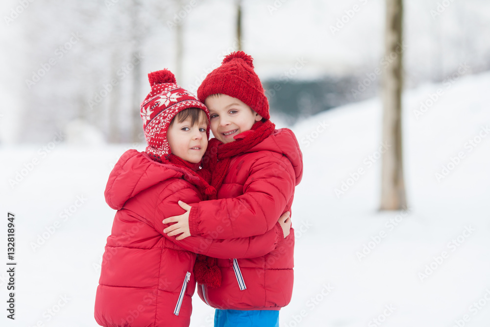Two adorable children, boy brothers, playing in a snowy park