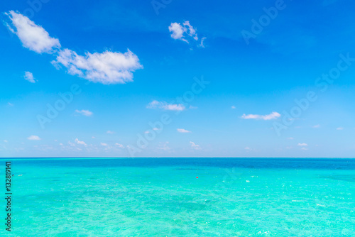 Fototapeta Naklejka Na Ścianę i Meble -  Beautiful tropical Maldives island with white sandy beach and se