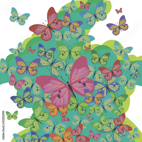 vector butterfly insect art white decorative color 
