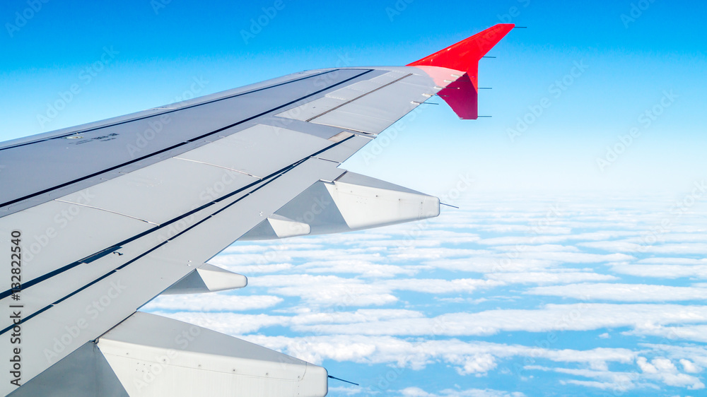 Fototapeta premium Plane wing