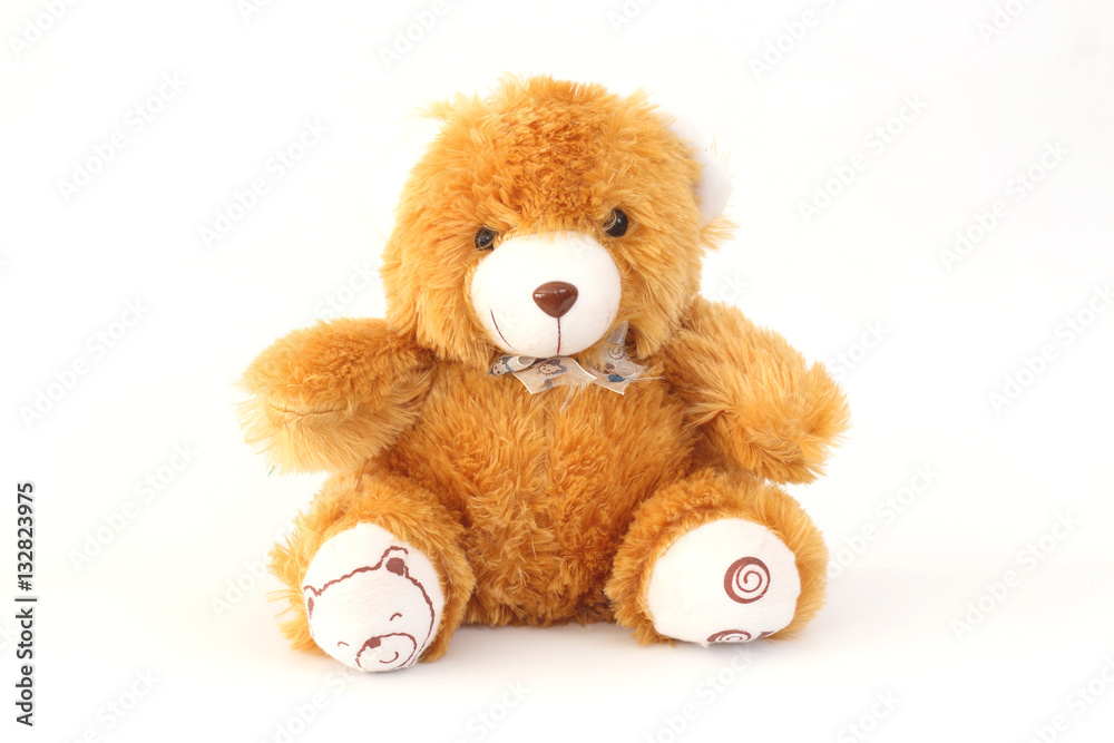 Obraz premium Brown teddy bear on a white background.