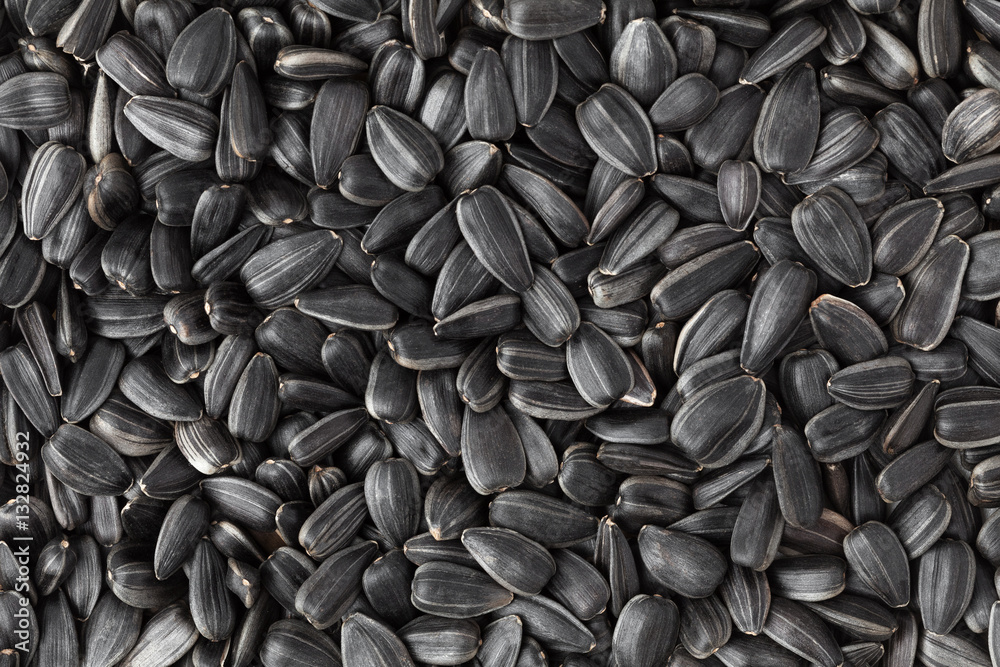 Black sunflower seeds. Texture, background. Black sunflower seeds. Texture, background.